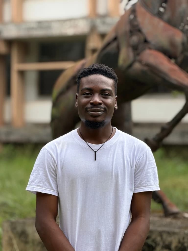 Praise Oluwasakin (Praise Ibukunoluwa Oluwasakin) - Frontend & Shopify Developer